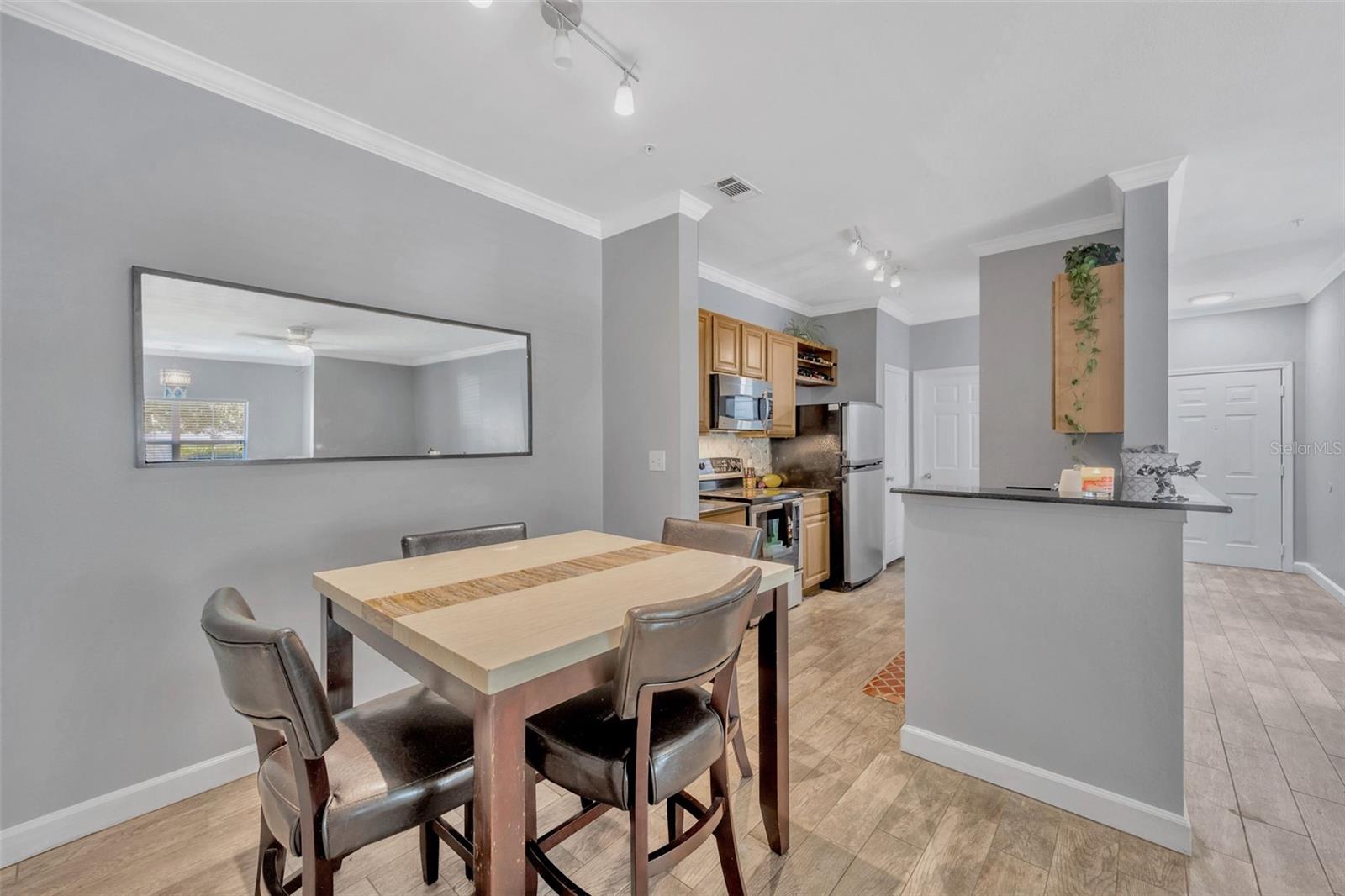 18573 BRIDLE CLUB DR #18573, TAMPA, FL, 33647