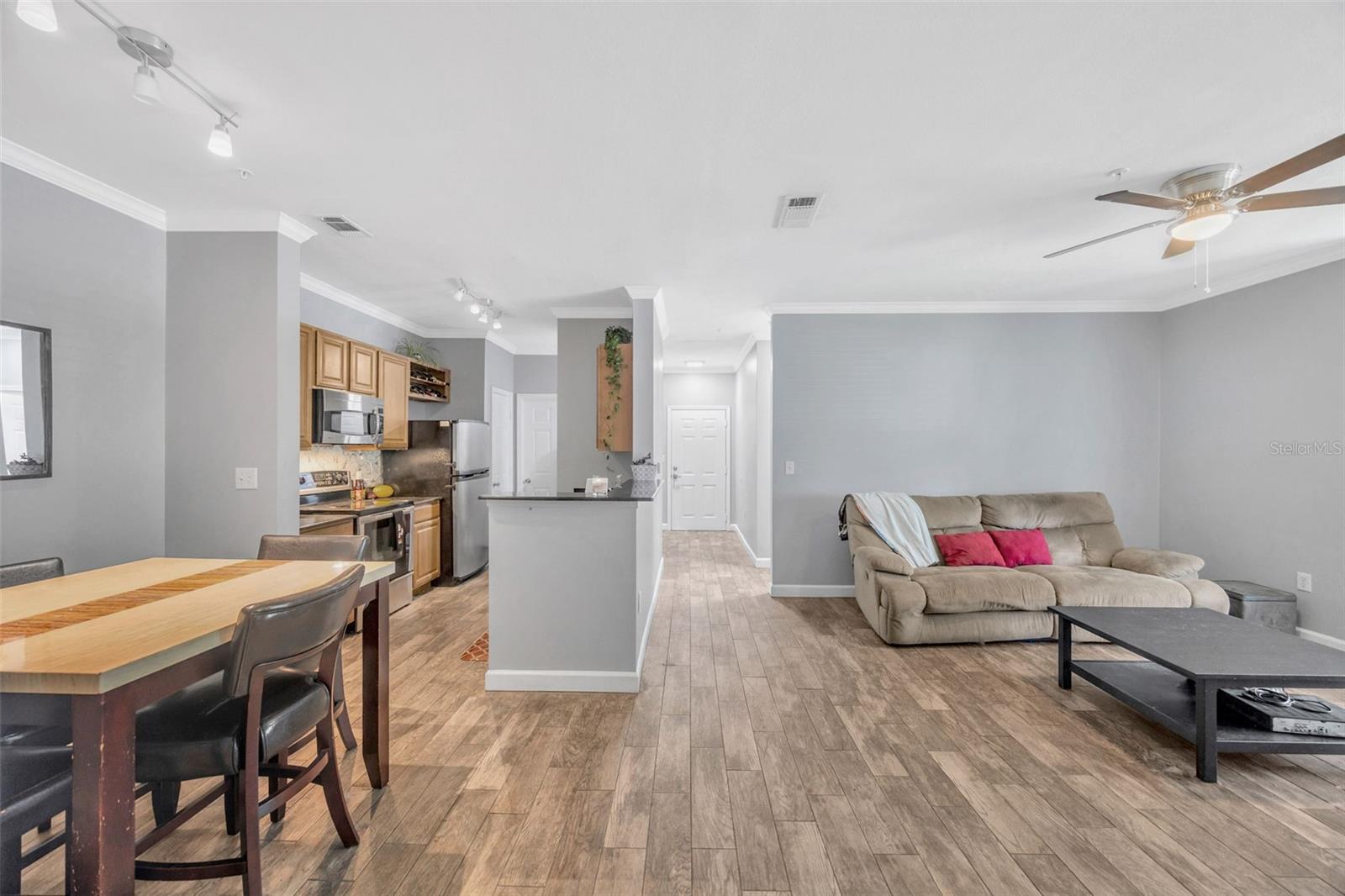 18573 BRIDLE CLUB DR #18573, TAMPA, FL, 33647