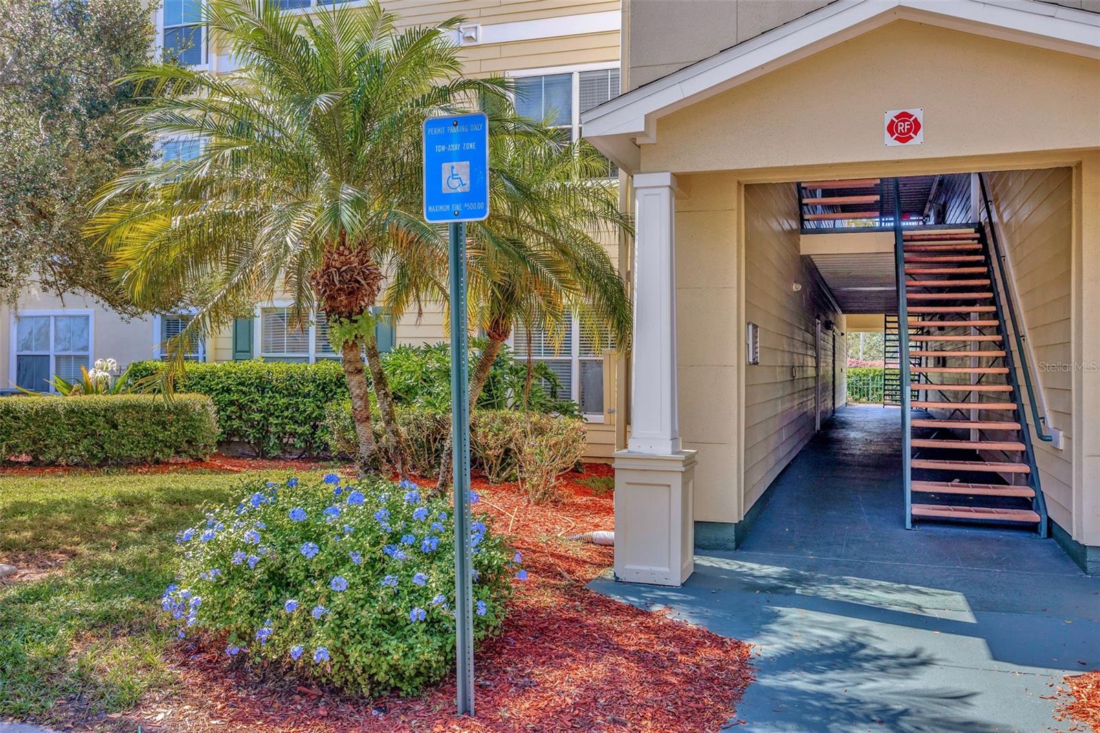18573 BRIDLE CLUB DR #18573, TAMPA, FL, 33647