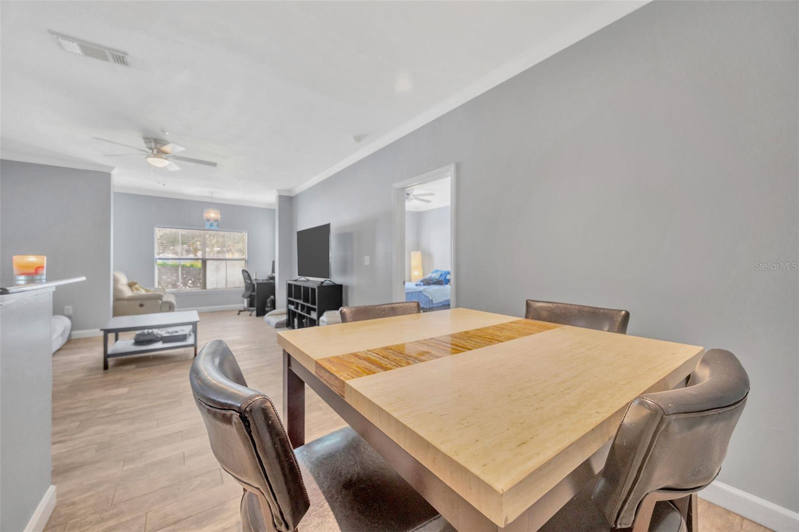 18573 BRIDLE CLUB DR #18573, TAMPA, FL, 33647