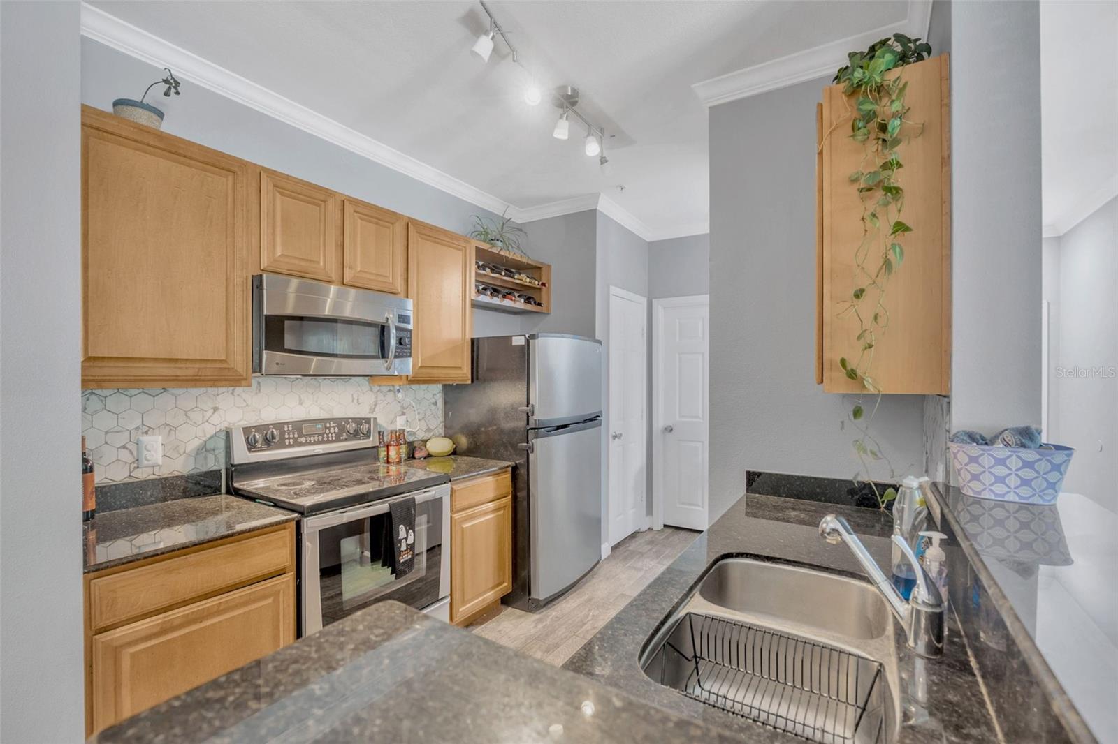 18573 BRIDLE CLUB DR #18573, TAMPA, FL, 33647