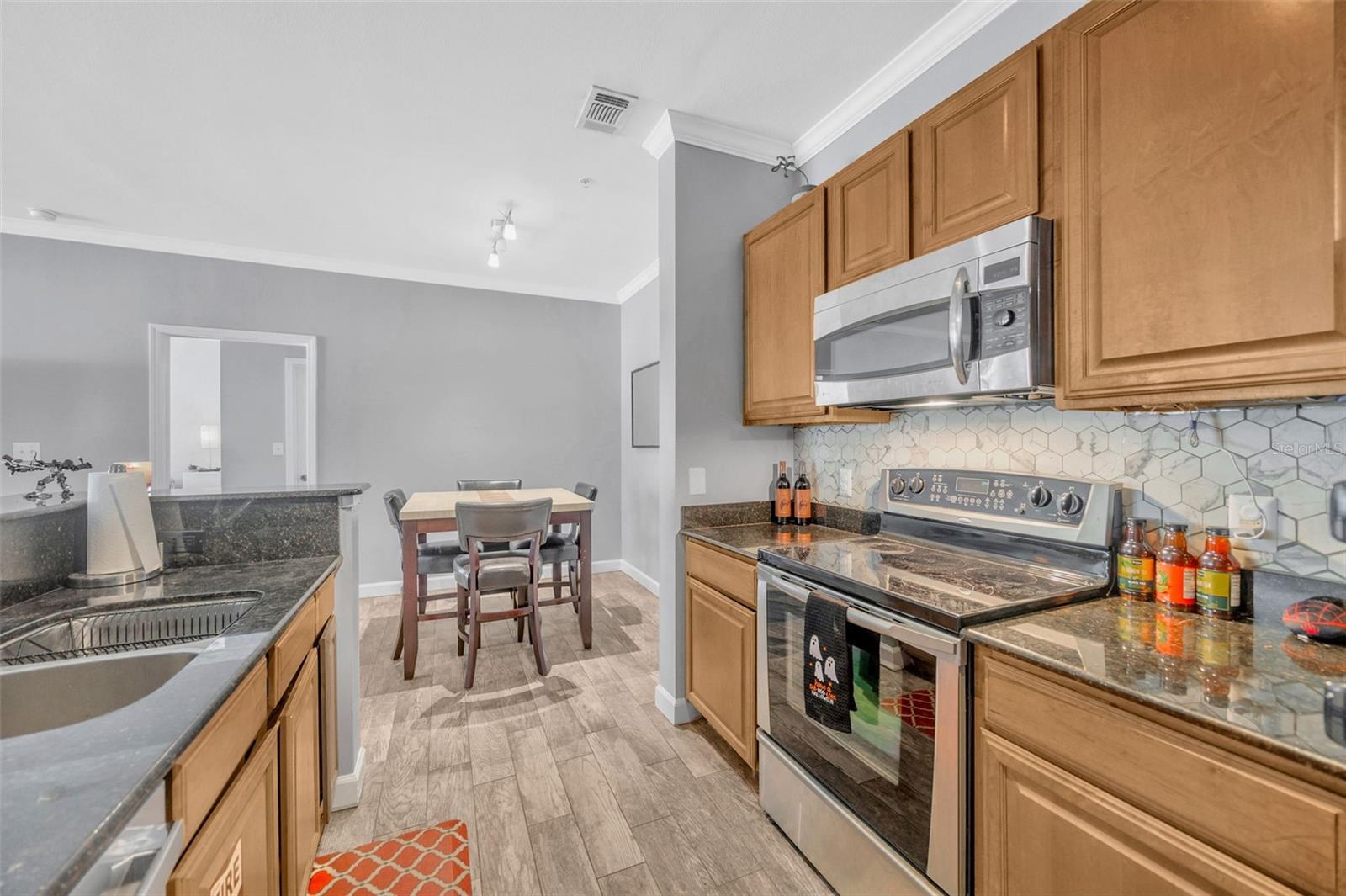 18573 BRIDLE CLUB DR #18573, TAMPA, FL, 33647