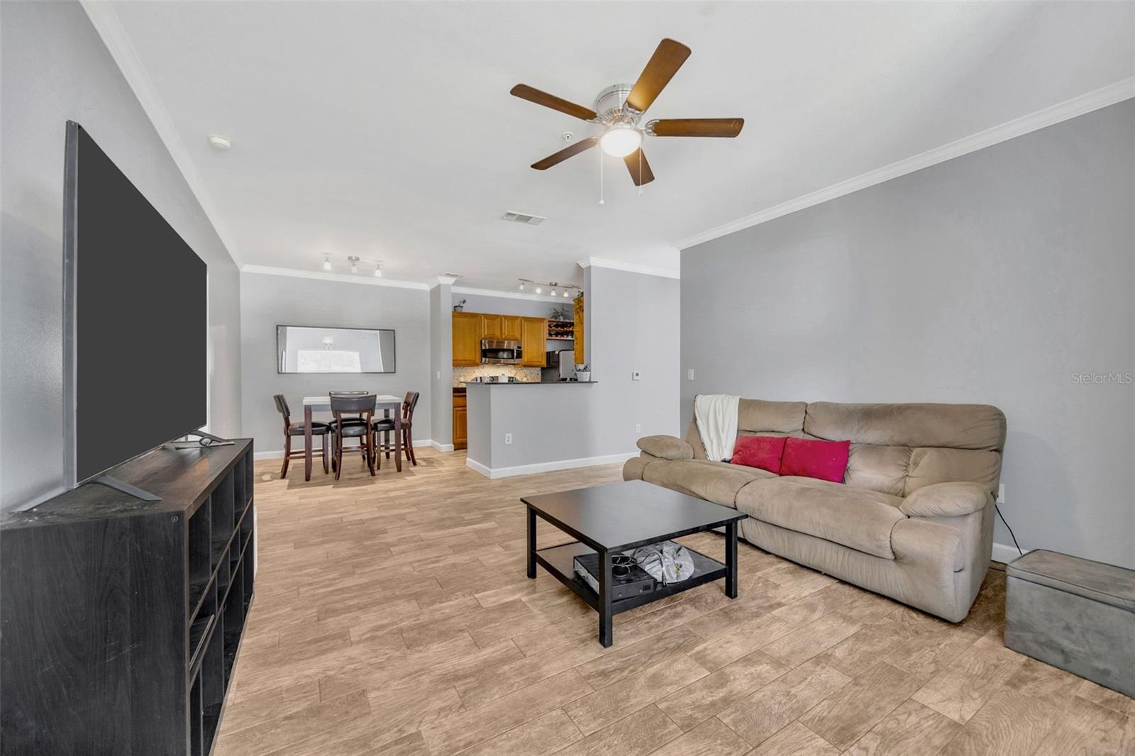 18573 BRIDLE CLUB DR #18573, TAMPA, FL, 33647