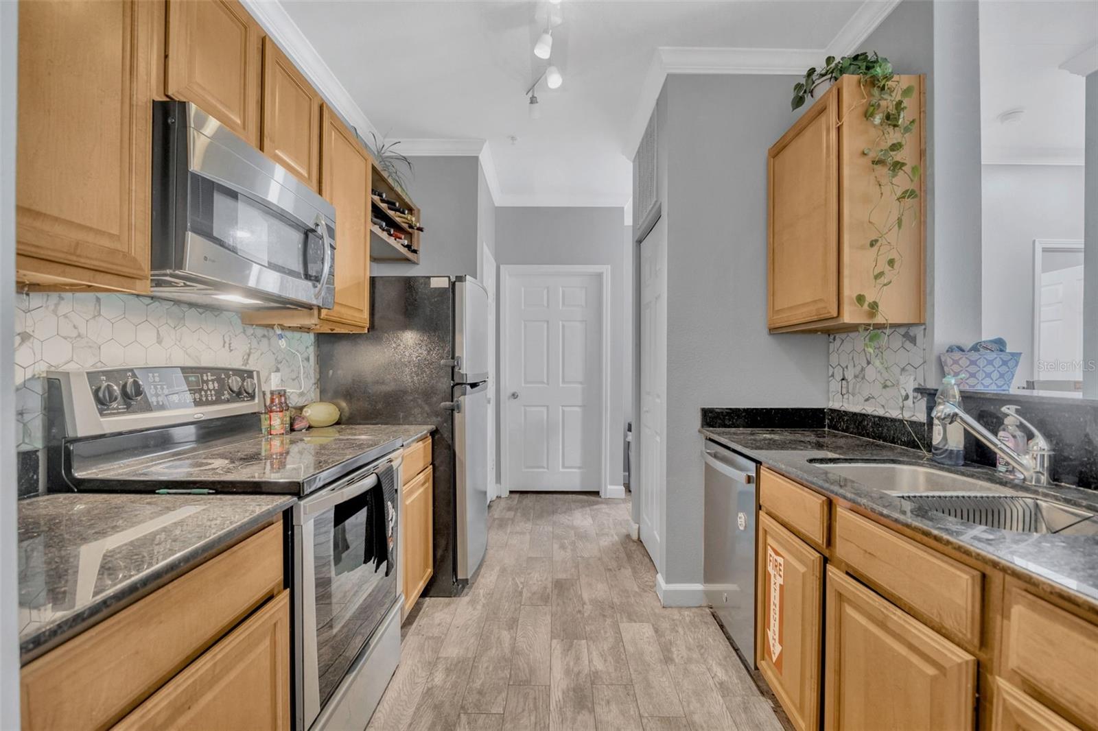 18573 BRIDLE CLUB DR #18573, TAMPA, FL, 33647