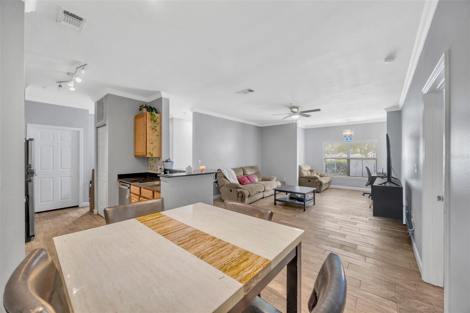 18573 BRIDLE CLUB DR #18573, TAMPA, FL, 33647