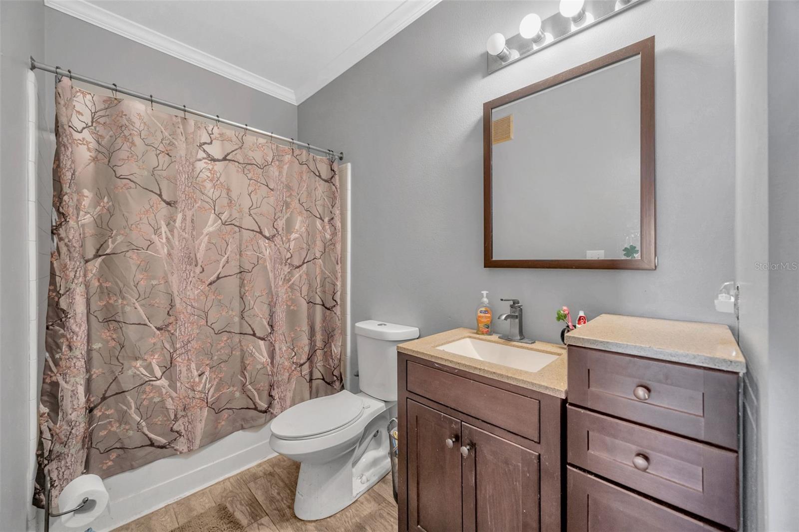 18573 BRIDLE CLUB DR #18573, TAMPA, FL, 33647