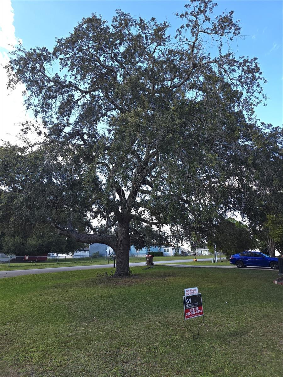 12667 SE 101ST CT, BELLEVIEW, FL, 34420