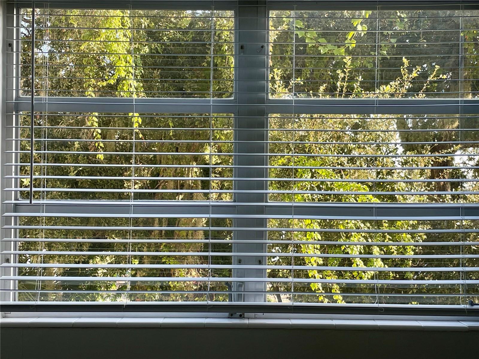 1224 S PENINSULA DR #304, DAYTONA BEACH, FL, 32118