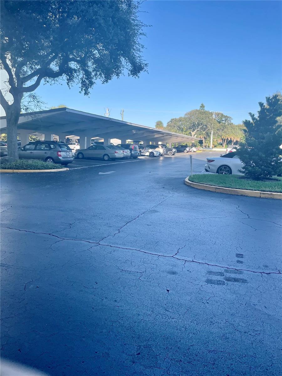 1224 S PENINSULA DR #304, DAYTONA BEACH, FL, 32118