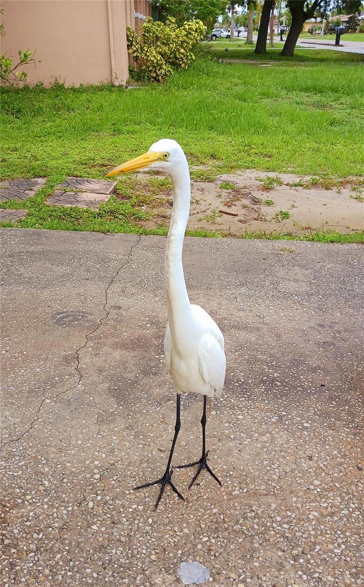 1586 BEACON DR, PORT CHARLOTTE, FL, 33952