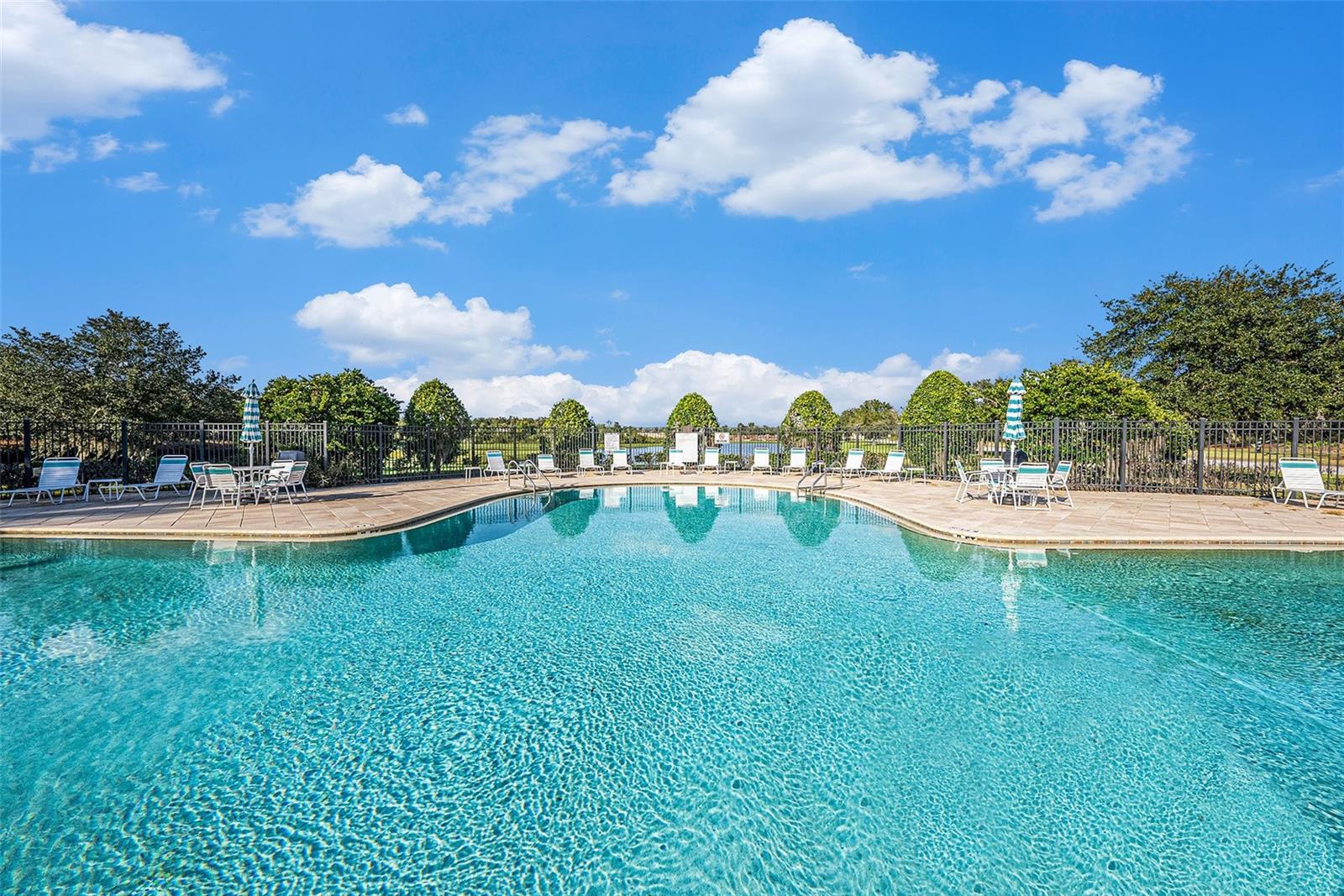 10661 PICTORIAL PARK DR, TAMPA, FL, 33647