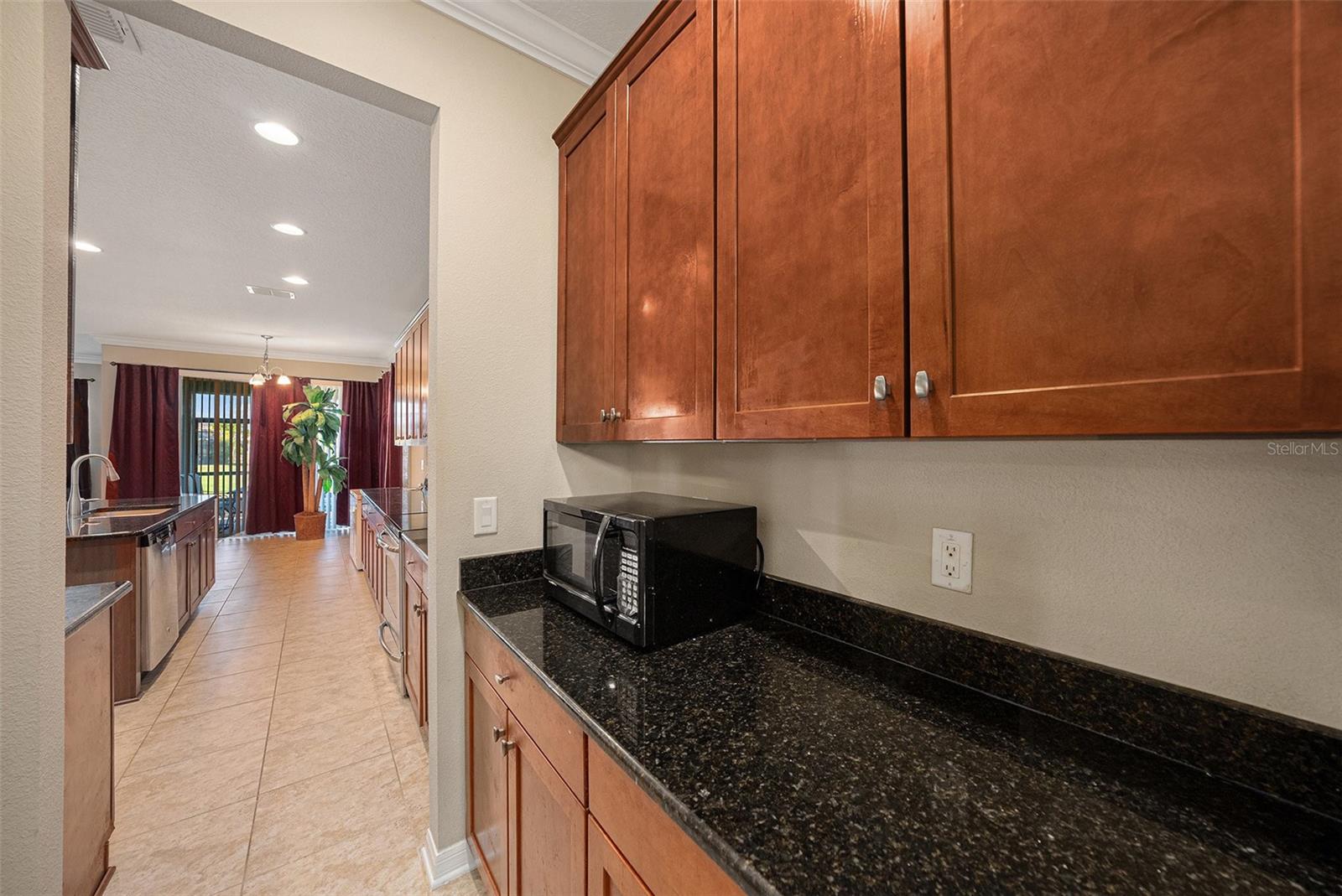 10661 PICTORIAL PARK DR, TAMPA, FL, 33647