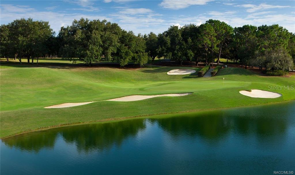 2344 N ANDREA PT, LECANTO, FL, 34461