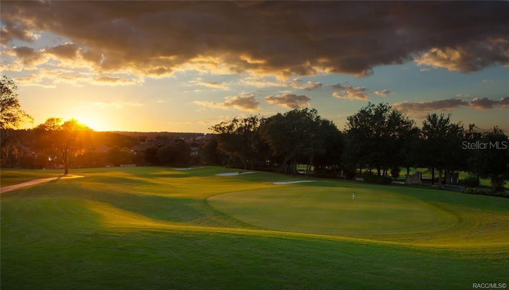 2344 N ANDREA PT, LECANTO, FL, 34461