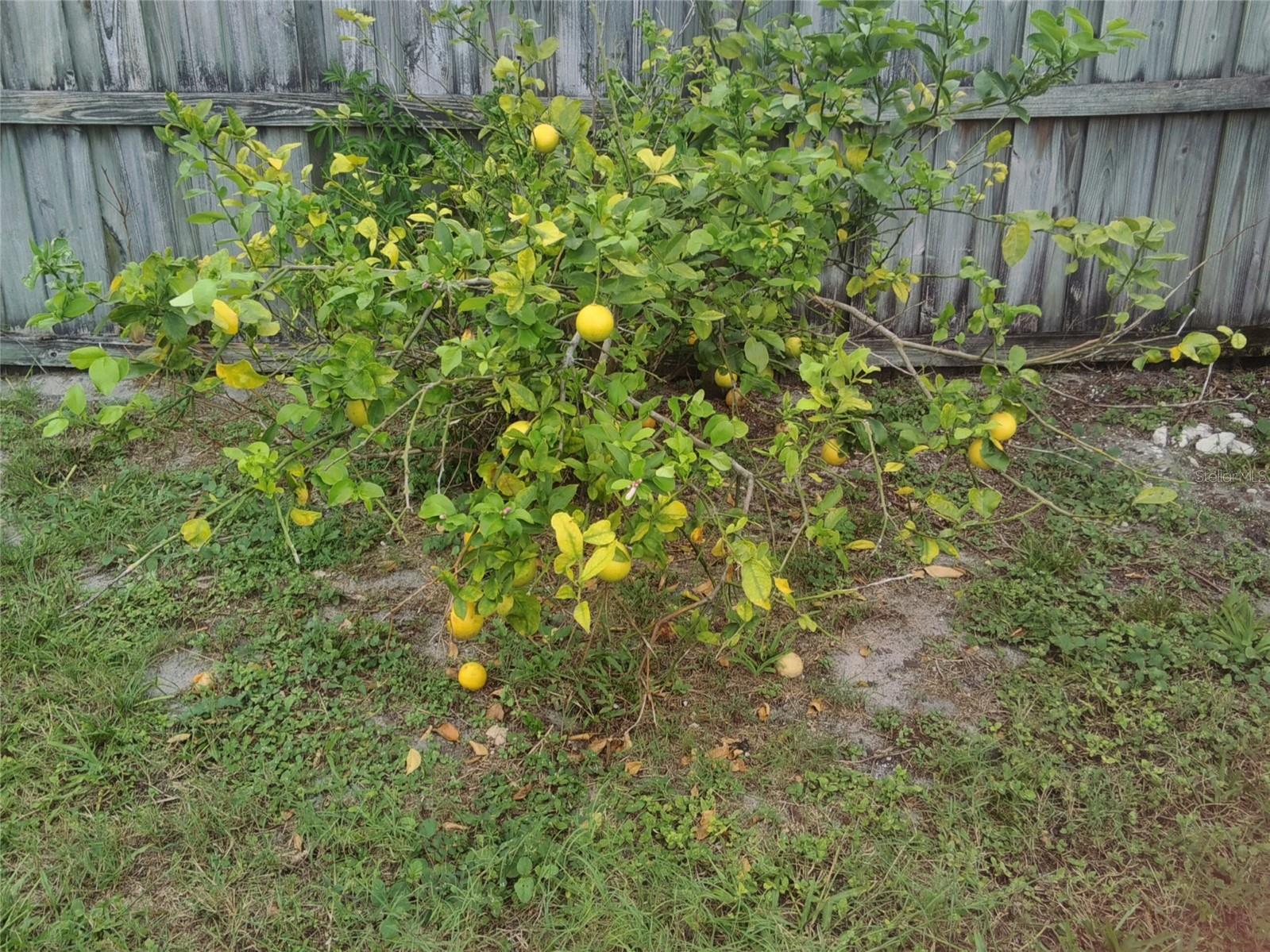 1074 WILMINGTON DR, DELTONA, FL, 32725