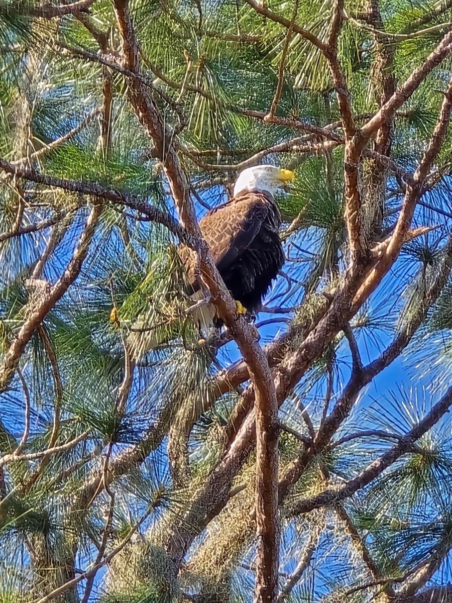 11196 SHORE DR, LAKE WALES, FL, 33898