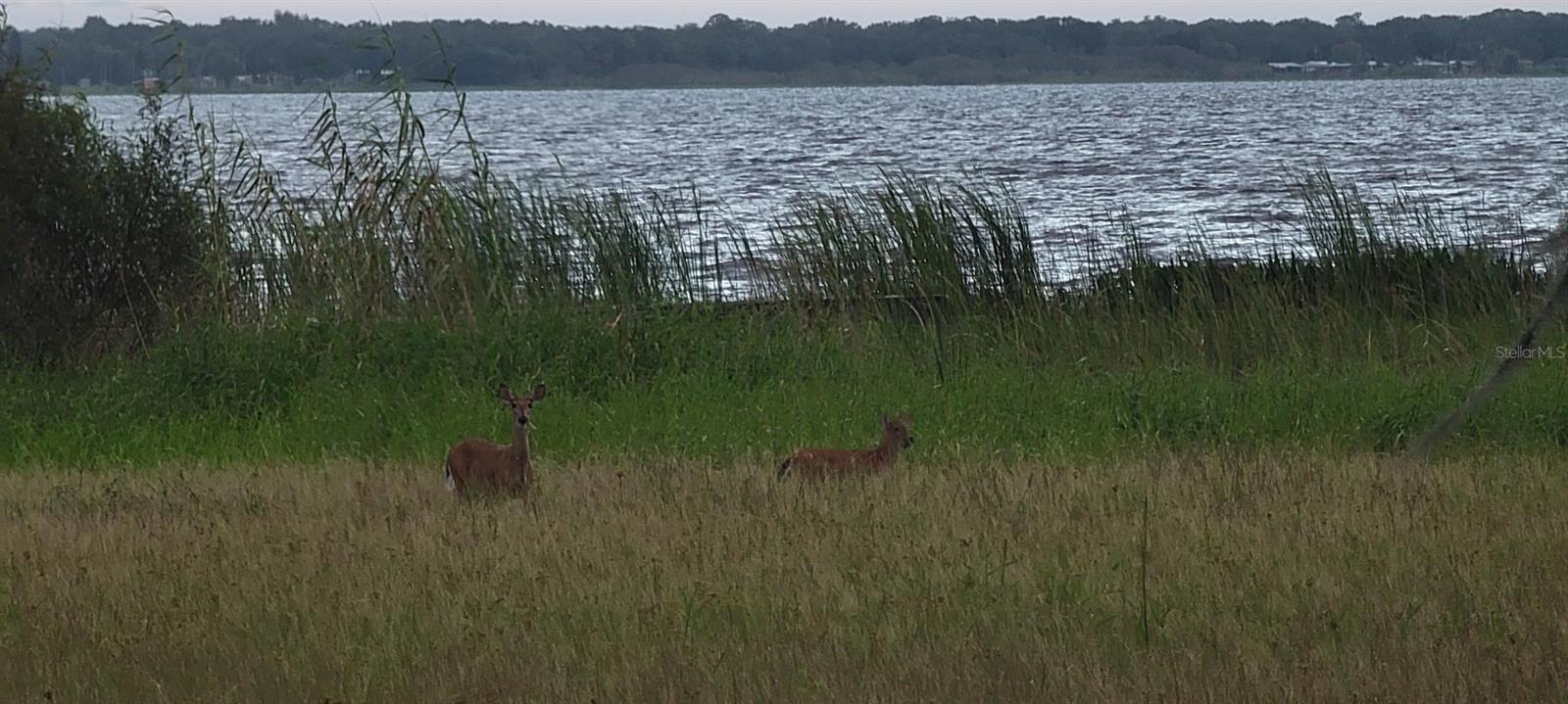 11196 SHORE DR, LAKE WALES, FL, 33898