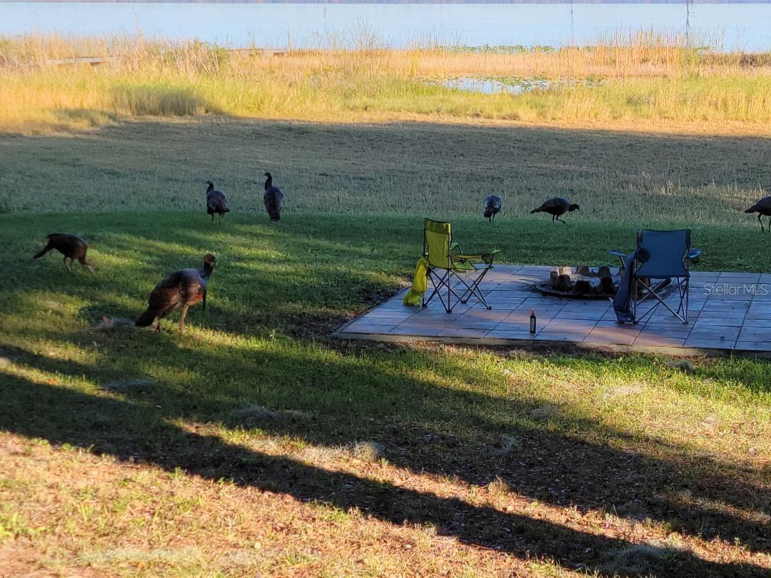 11196 SHORE DR, LAKE WALES, FL, 33898