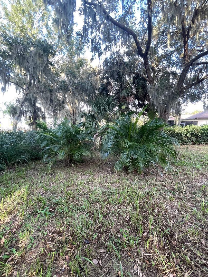 11196 SHORE DR, LAKE WALES, FL, 33898