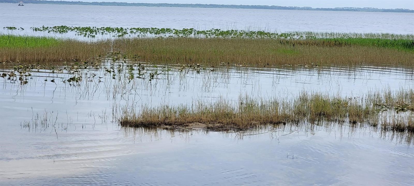 11196 SHORE DR, LAKE WALES, FL, 33898