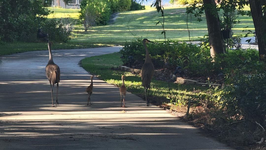 11196 SHORE DR, LAKE WALES, FL, 33898