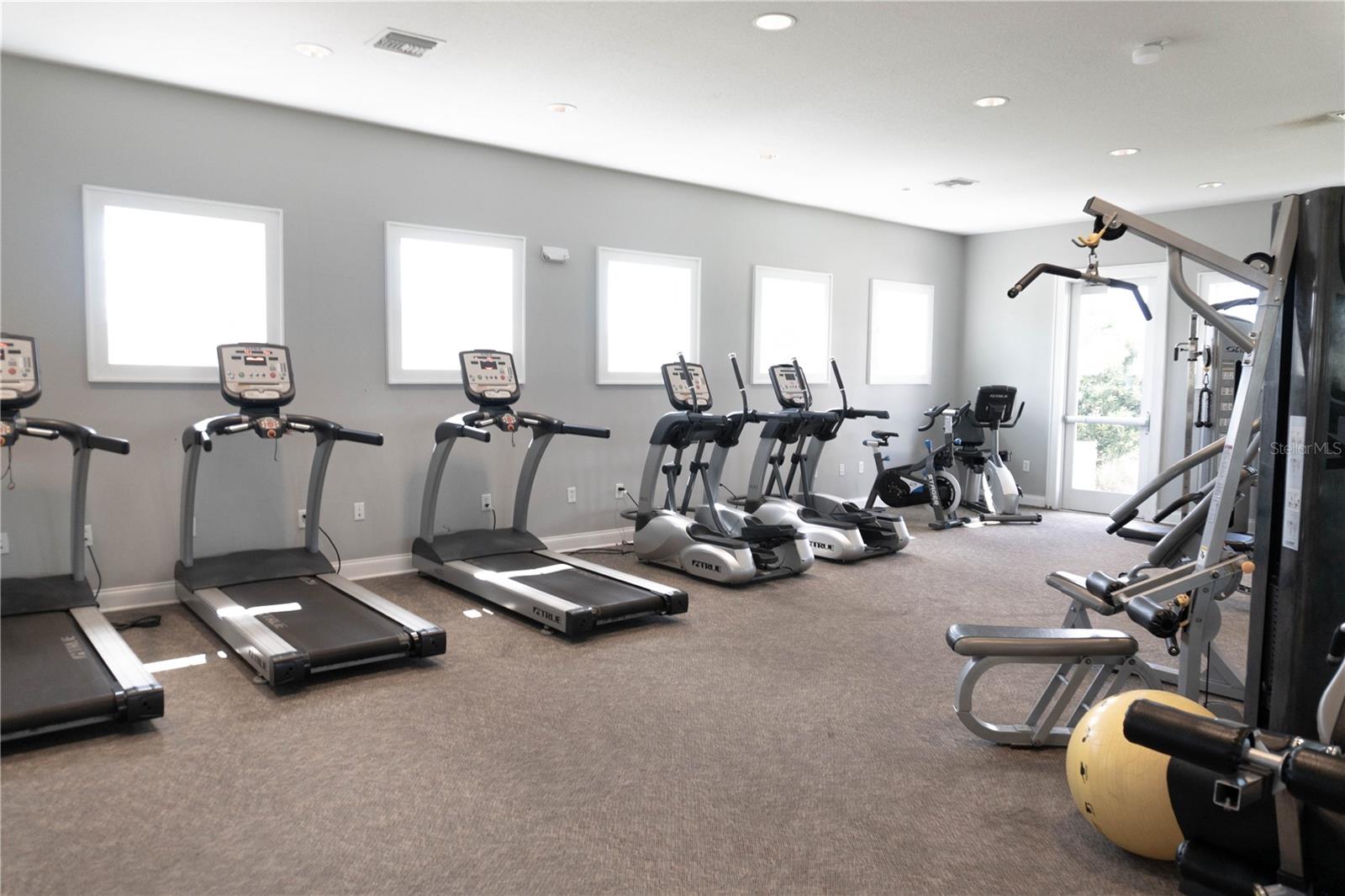 4527 GLOBE THISTLE DR, TAMPA, FL, 33619