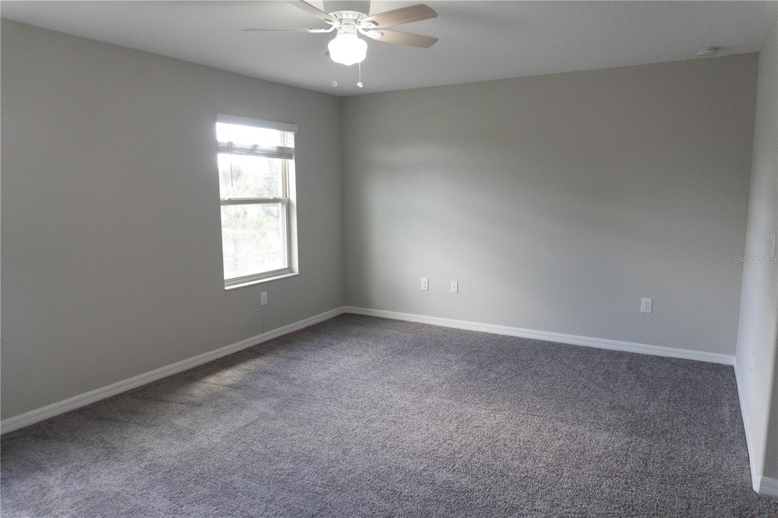 4527 GLOBE THISTLE DR, TAMPA, FL, 33619