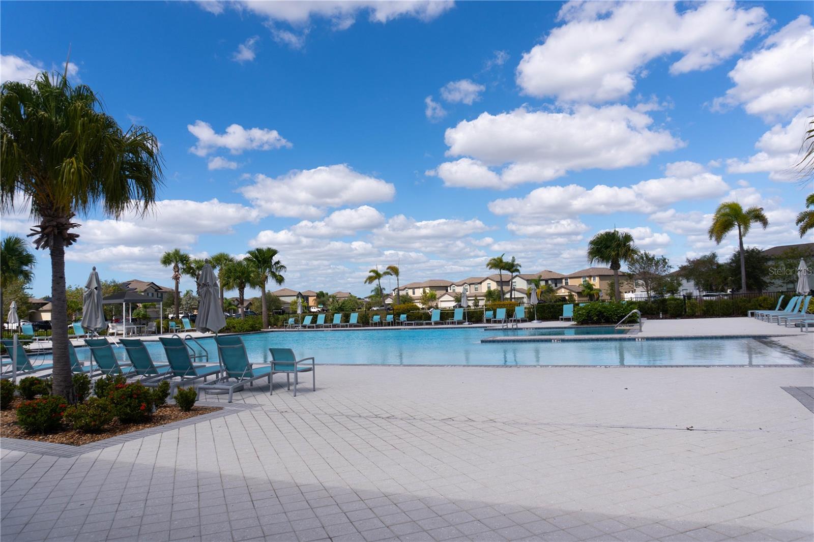 4527 GLOBE THISTLE DR, TAMPA, FL, 33619