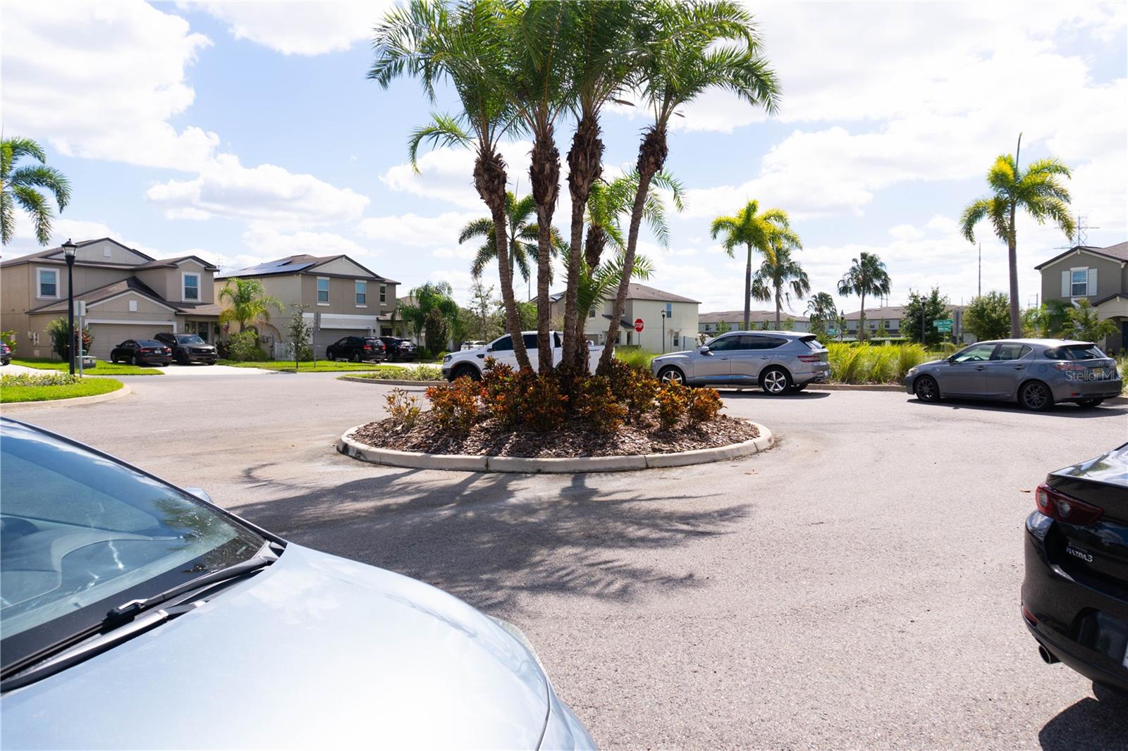 4527 GLOBE THISTLE DR, TAMPA, FL, 33619