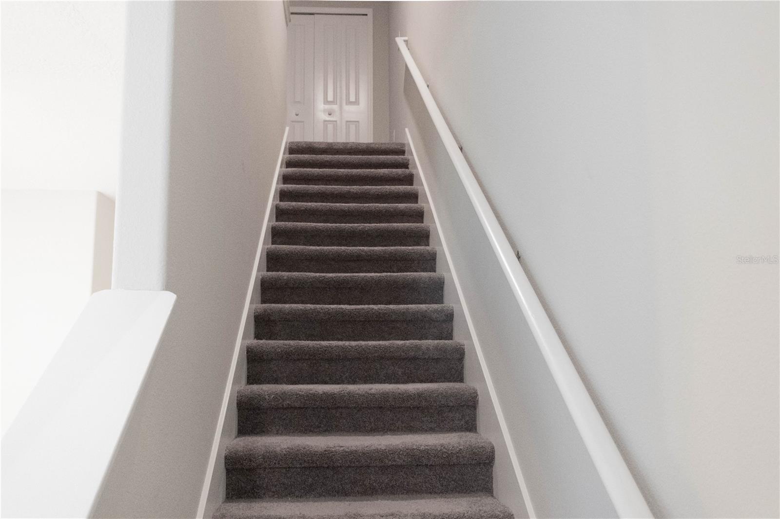 4527 GLOBE THISTLE DR, TAMPA, FL, 33619