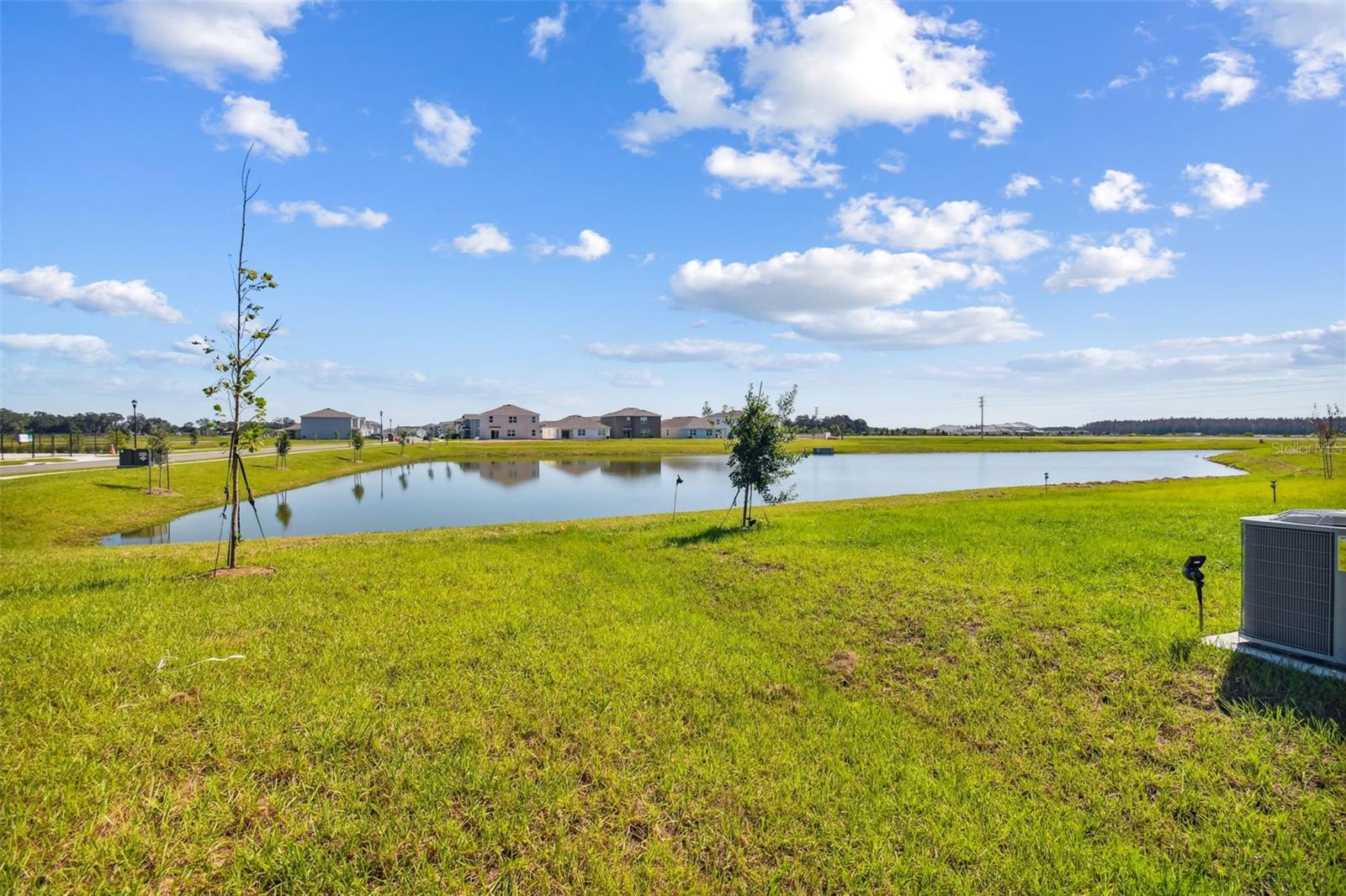 2774 COMMON FIG RUN, WESLEY CHAPEL, FL, 33543