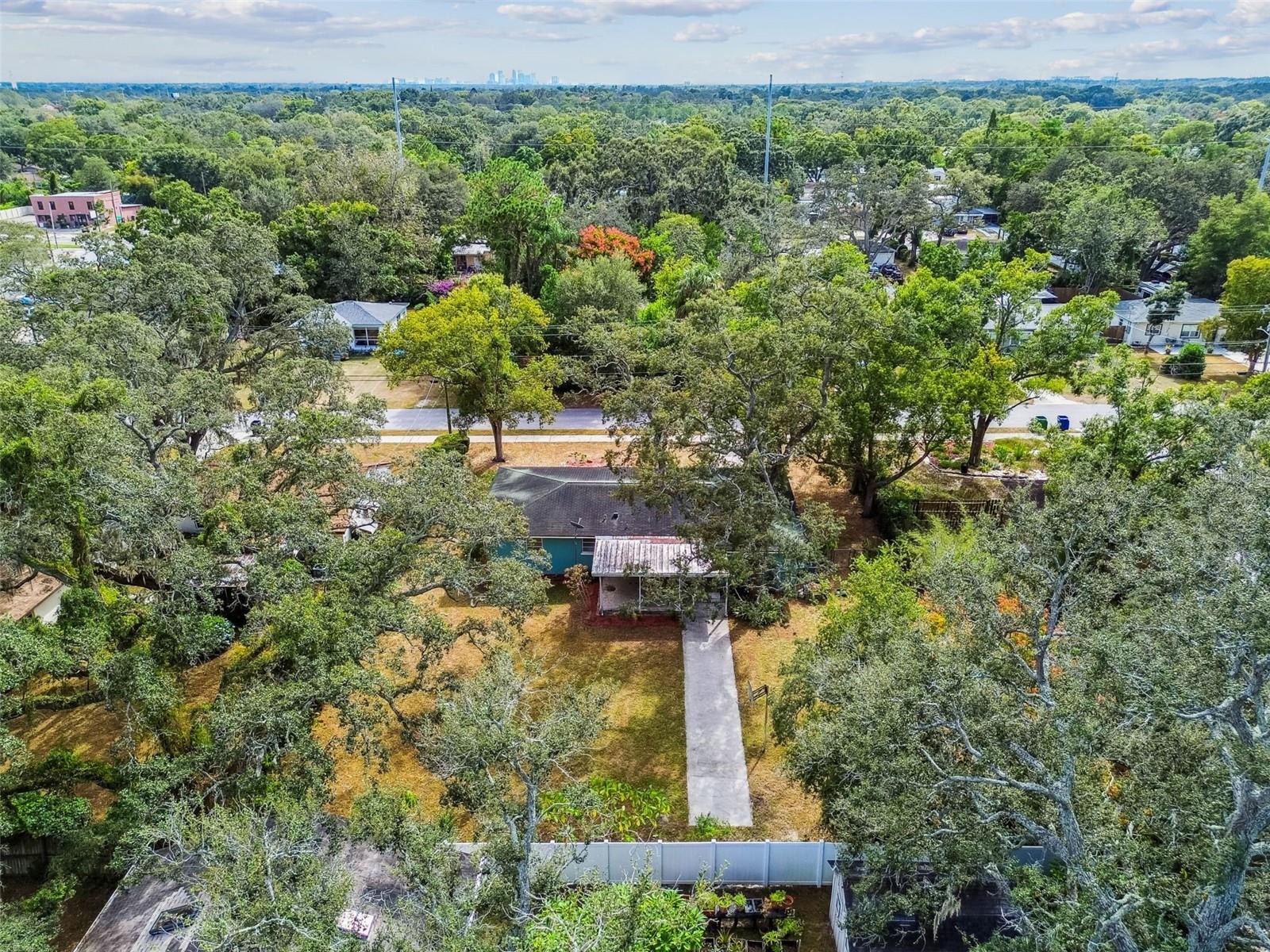 1411 W MEADOWBROOK AVE, TAMPA, FL, 33612