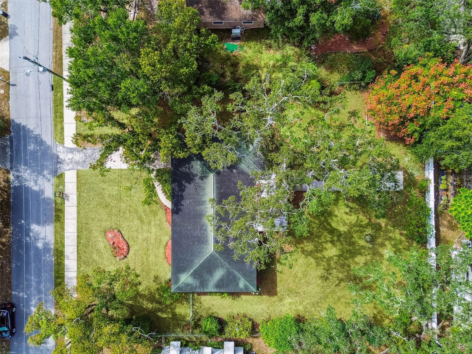 1411 W MEADOWBROOK AVE, TAMPA, FL, 33612