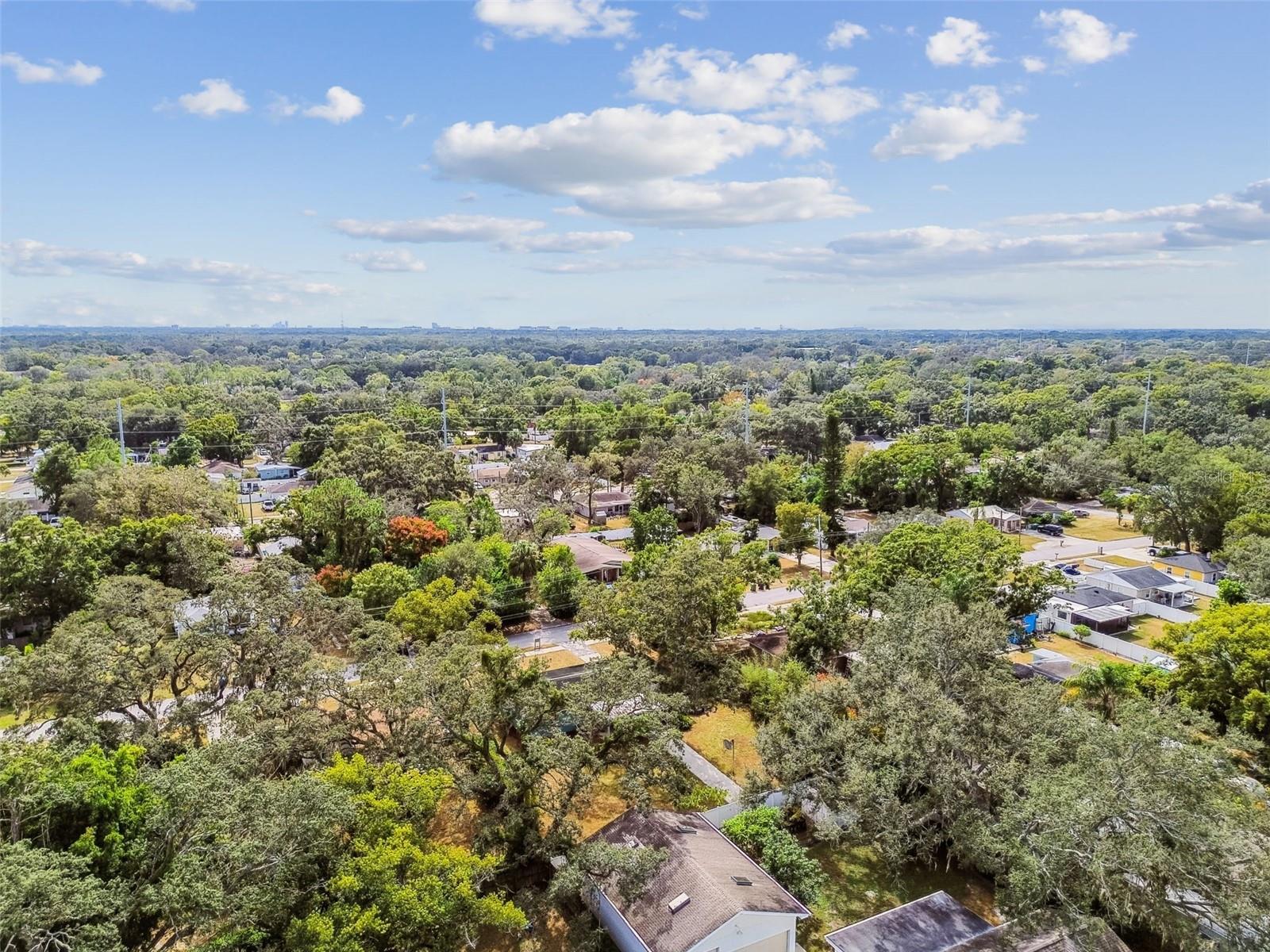 1411 W MEADOWBROOK AVE, TAMPA, FL, 33612