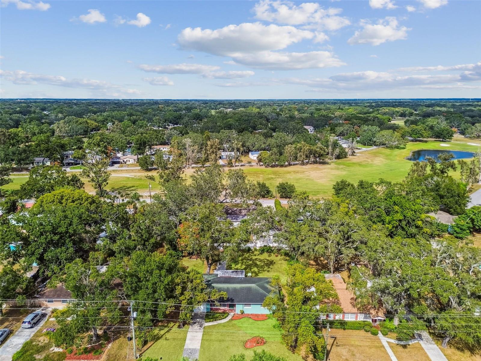 1411 W MEADOWBROOK AVE, TAMPA, FL, 33612