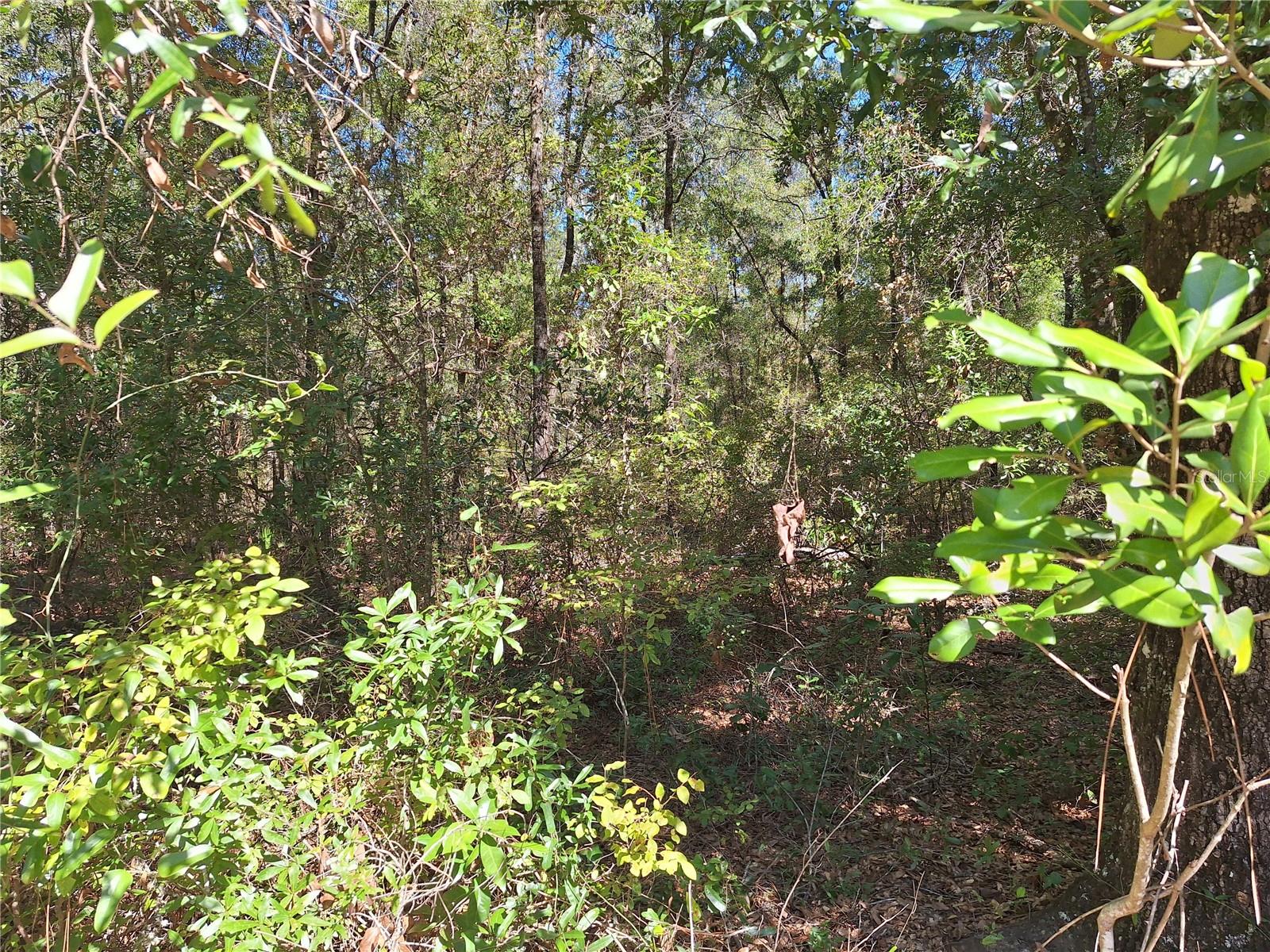 000 SW COUNTY RD. 138, FORT WHITE, FL, 32038