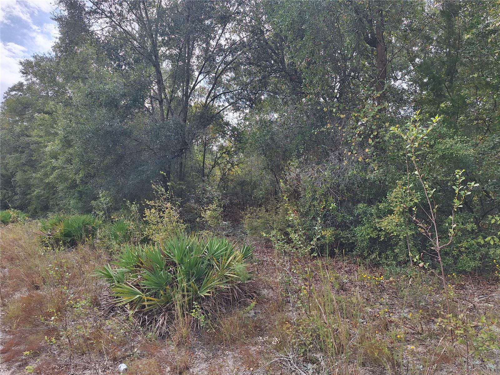 000 SW COUNTY RD. 138, FORT WHITE, FL, 32038