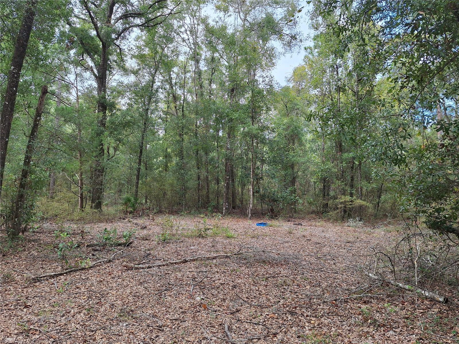 000 SW COUNTY RD. 138, FORT WHITE, FL, 32038