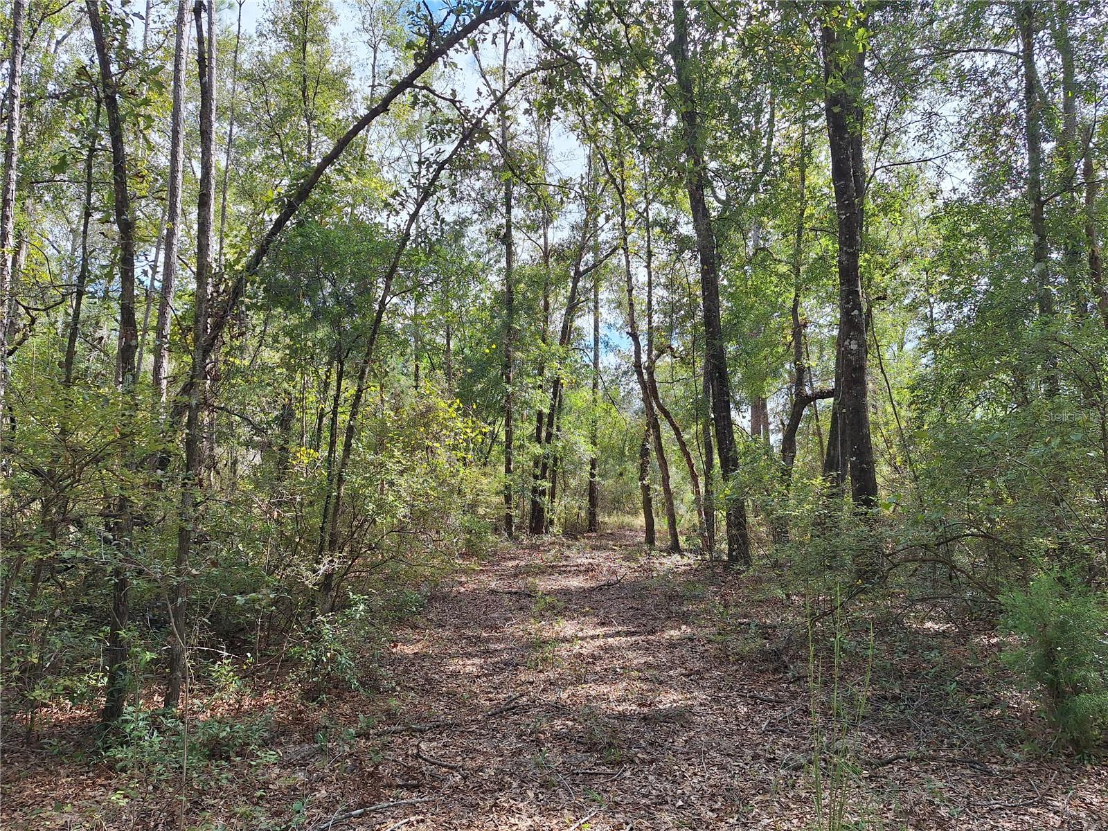 000 SW COUNTY RD. 138, FORT WHITE, FL, 32038