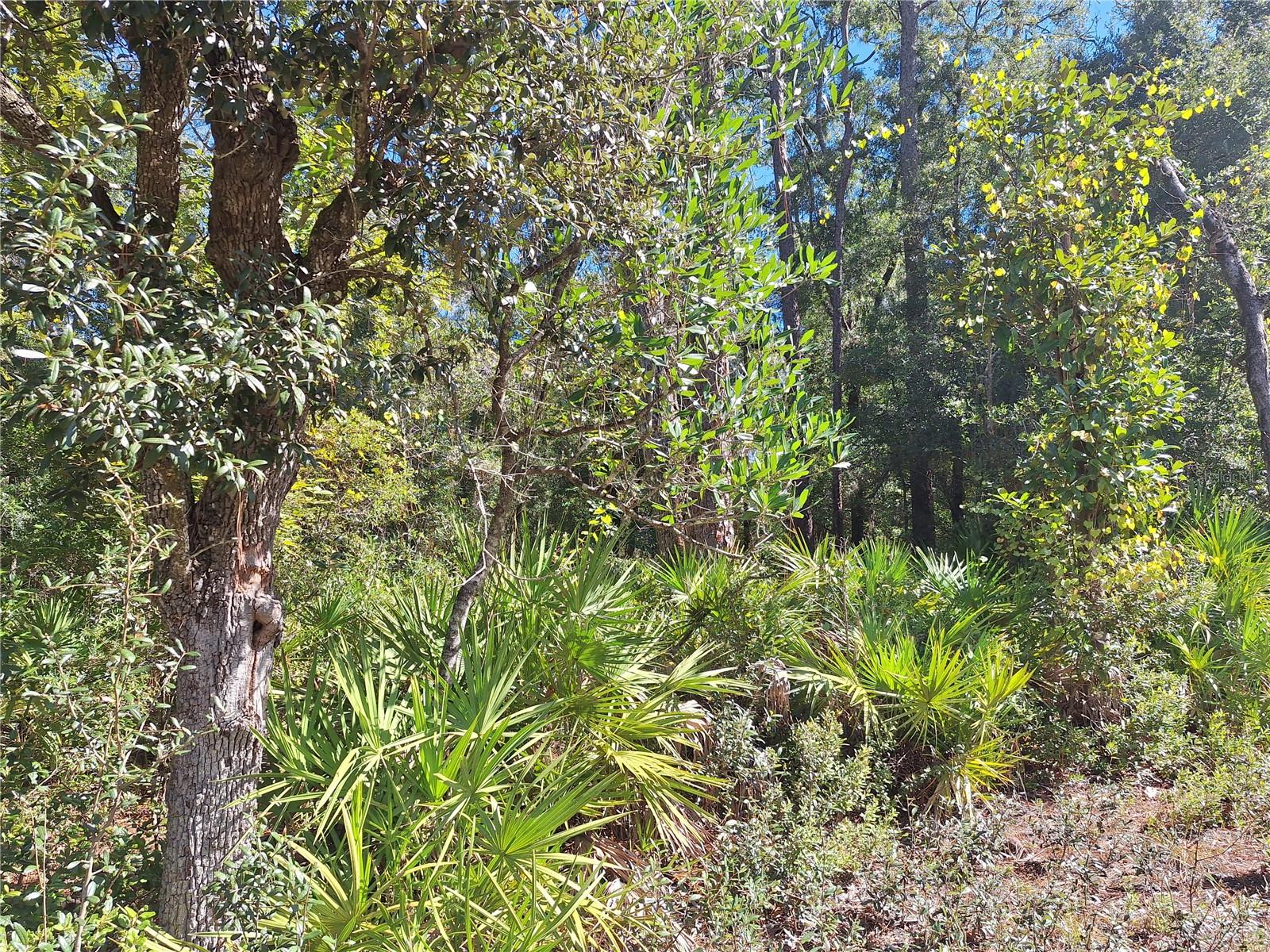 000 SW COUNTY RD. 138, FORT WHITE, FL, 32038