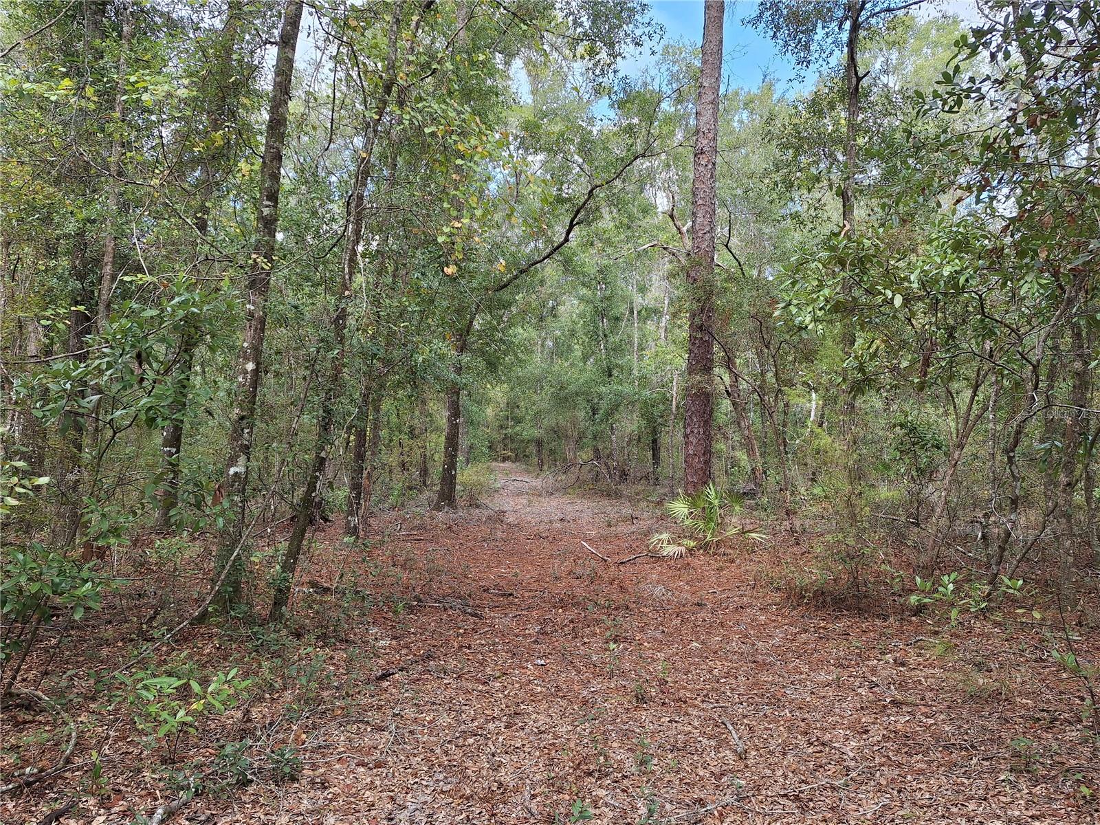 000 SW COUNTY RD. 138, FORT WHITE, FL, 32038