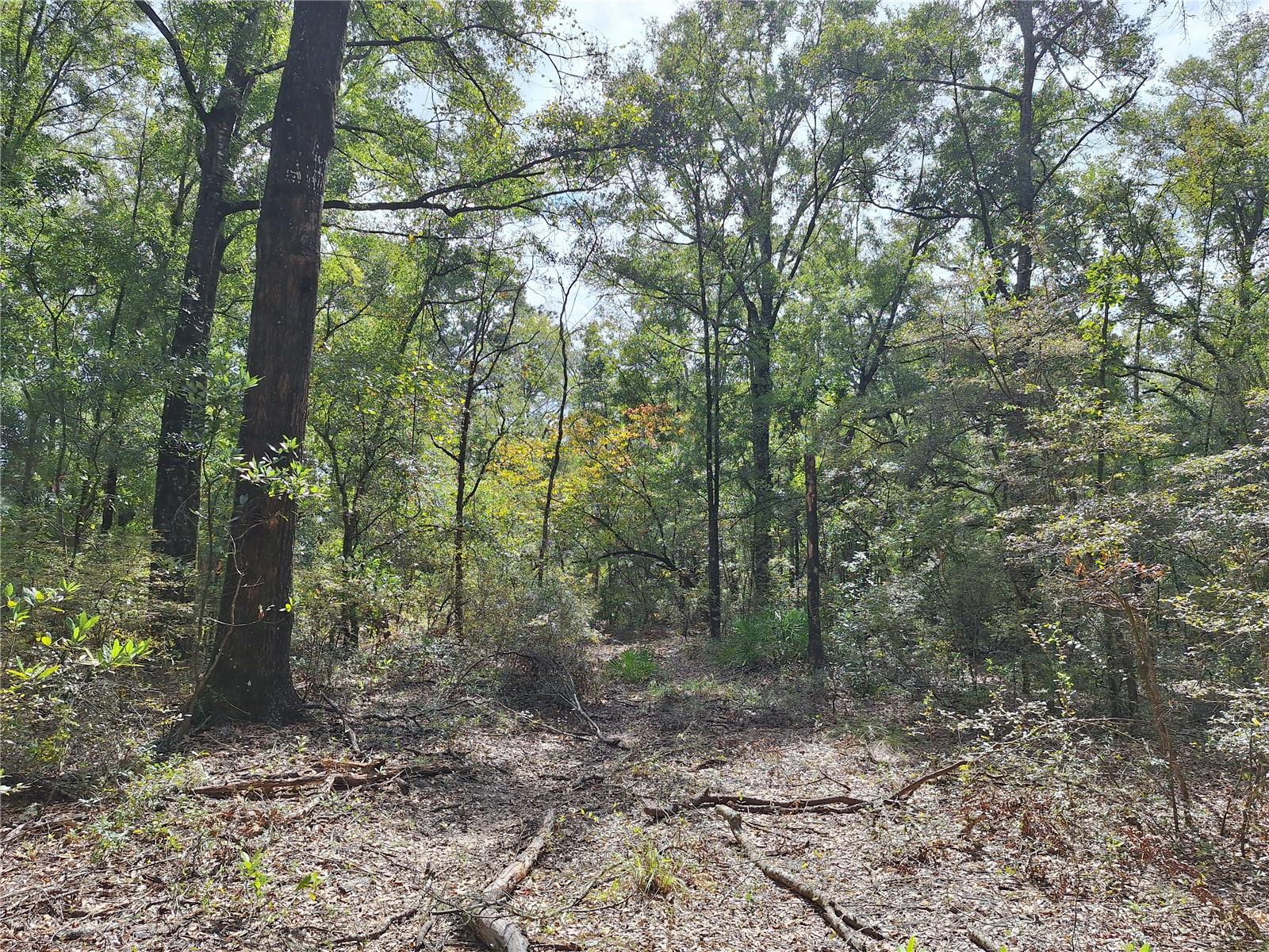 000 SW COUNTY RD. 138, FORT WHITE, FL, 32038