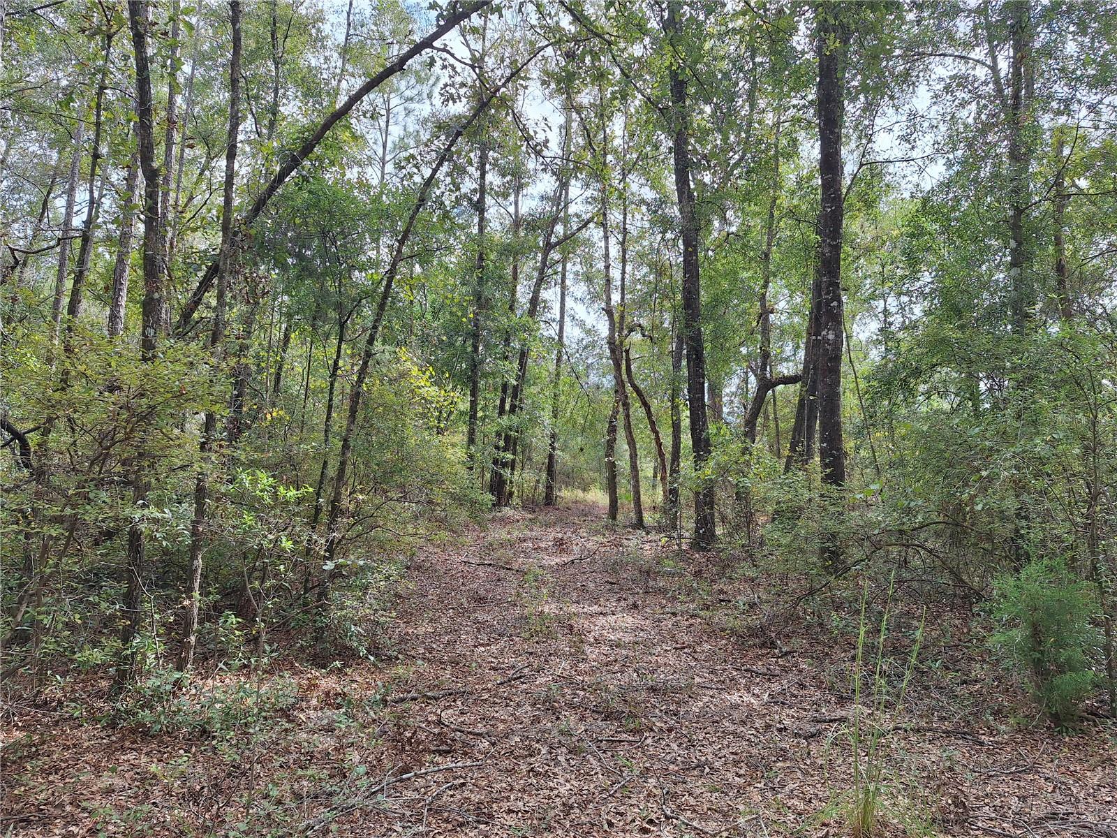 000 SW COUNTY RD. 138, FORT WHITE, FL, 32038