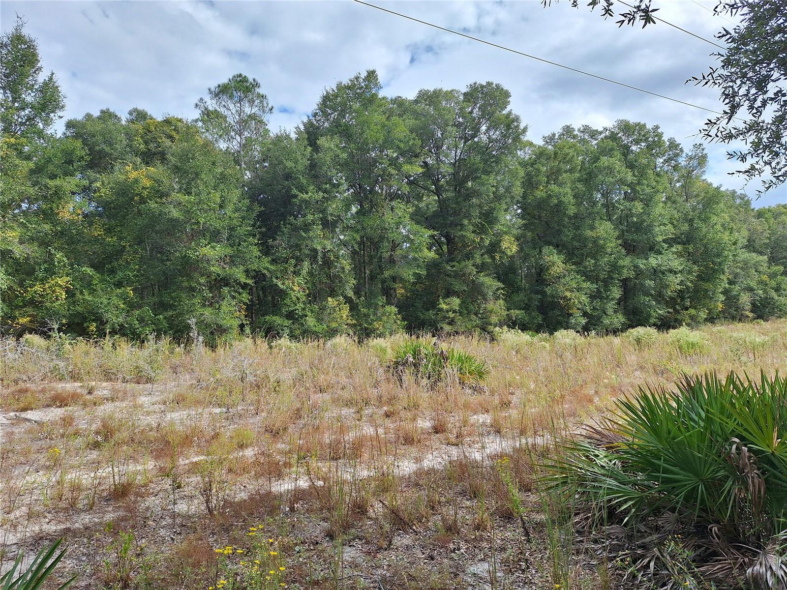 000 SW COUNTY RD. 138, FORT WHITE, FL, 32038