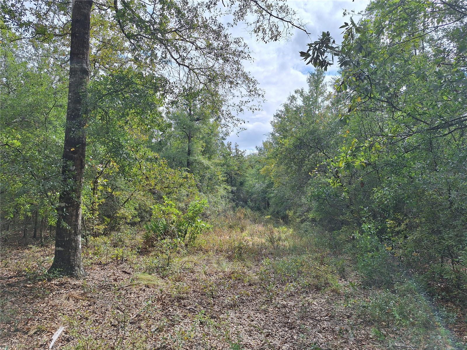 000 SW COUNTY RD. 138, FORT WHITE, FL, 32038