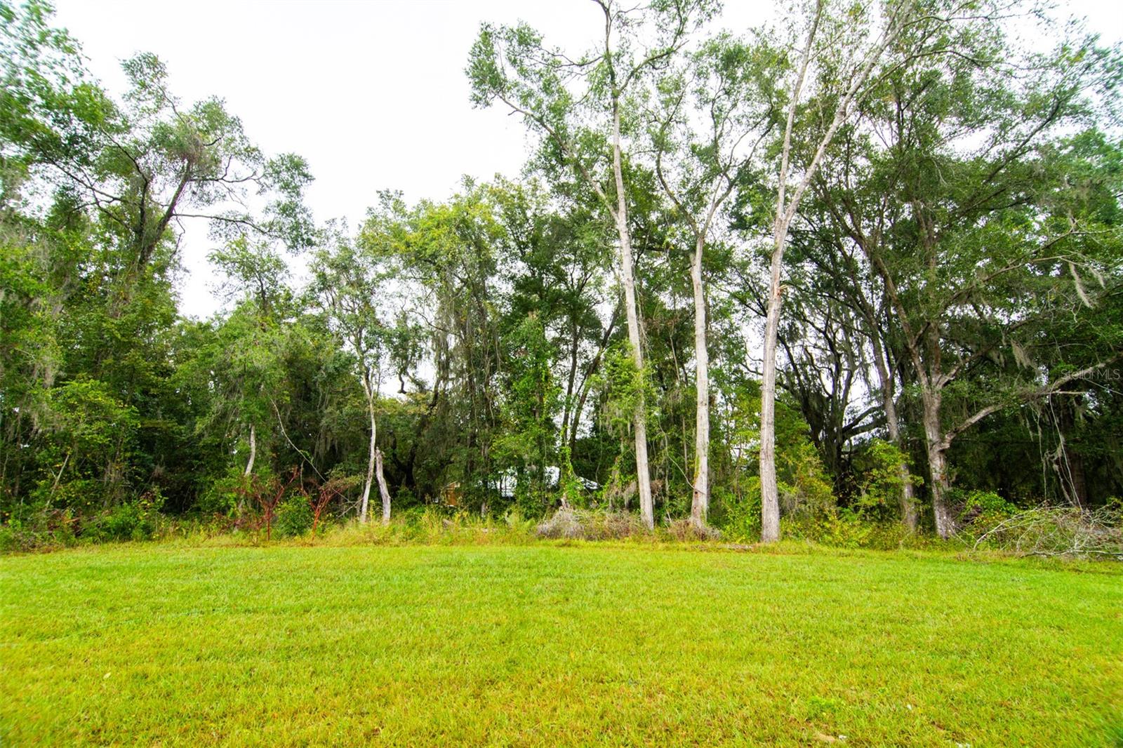 13215 SW 41ST CT, OCALA, FL, 34473