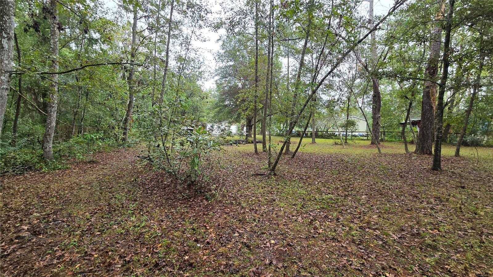 18426 POWELL RD, BROOKSVILLE, FL, 34604