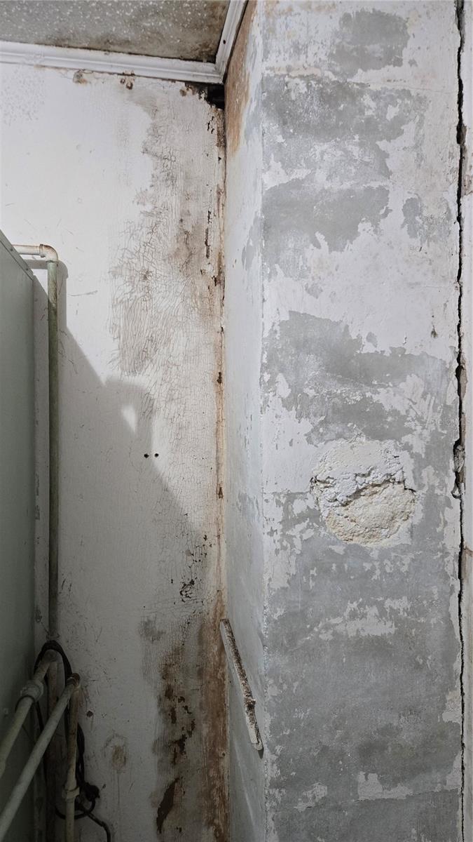 18426 POWELL RD, BROOKSVILLE, FL, 34604