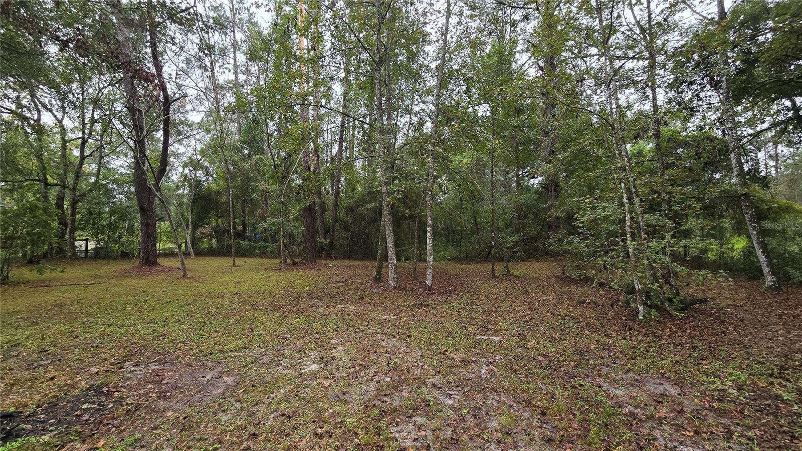 18426 POWELL RD, BROOKSVILLE, FL, 34604