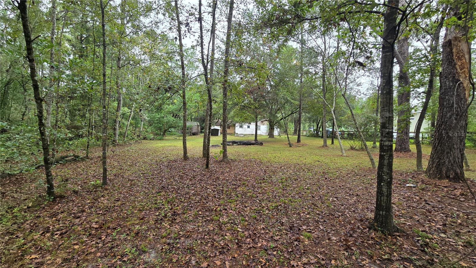 18426 POWELL RD, BROOKSVILLE, FL, 34604